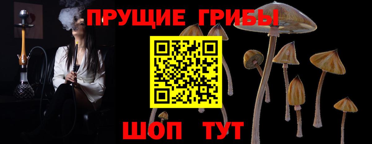 Галлюциногенные грибы Psilocybe  Вход с VPN  Донской  Галлюциногенные грибы Psilocybine cubensis 